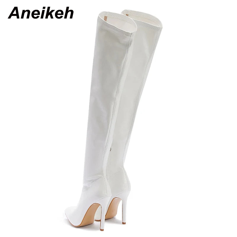 Aneikeh NEW Fashion Striped 11CM Thin Heels Ladies Boots 2026 Spring Sexy Over-the-Knee Side Zipper Slip-On Pointed Toe Shoes