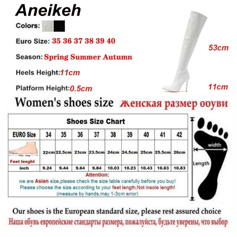 Aneikeh NEW Fashion Striped 11CM Thin Heels Ladies Boots 2026 Spring Sexy Over-the-Knee Side Zipper Slip-On Pointed Toe Shoes